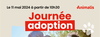 Animalis Bordeaux Lac - journée adoption chat #1