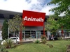 Animalis Sainte-Eulalie  21