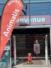 Animalis Villiers-sur-Marne 9