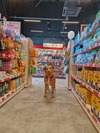 Animalis Villiers-sur-Marne 8