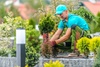 Jardiniers SAP Le Cannet 1