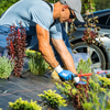 Jardiniers SAP Roquebrune Sur Argens 1