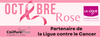 Coiffure Plus Amiens - OCTOBRE ROSE #1