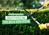 GAMM VERT de ST MARTIN DE SEIGNANX - Équipé pour un jardin au carré !