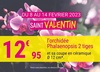 GAMM VERT de VILLAINES SOUS BOIS - Saint Valentin