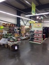GAMM VERT de LILLEBONNE 3