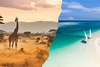 Eden Tour Ambassade Fram - Guer - Découvrez la Tanzanie & Zanzibar : Aventure et Sérénité #3