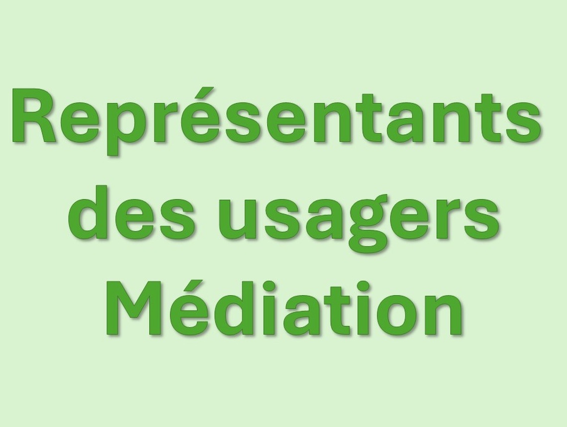 Etablissement SMR Pierre Chevalier - Représentants des usagers
