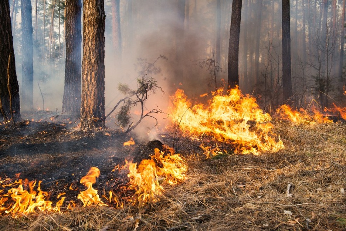 Section Mgen de la Gironde - Incendies en Gironde, dans les Landes : MGEN AUPRES®activé