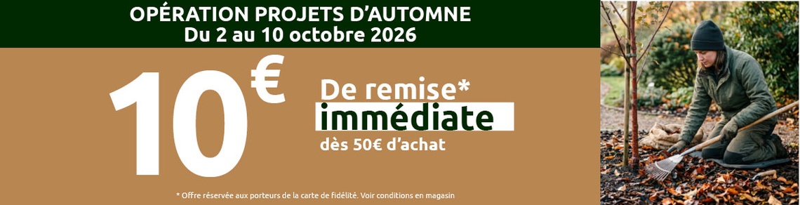 Les Briconautes - 2026 FID PROJETS AUTOMNE