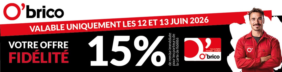 Les Briconautes - 2026 FID REMISES OBRICO 12 ET 13 JUIN