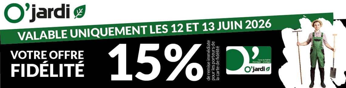 Les Briconautes - 2026 FID REMISES OBRICO OJARDI
