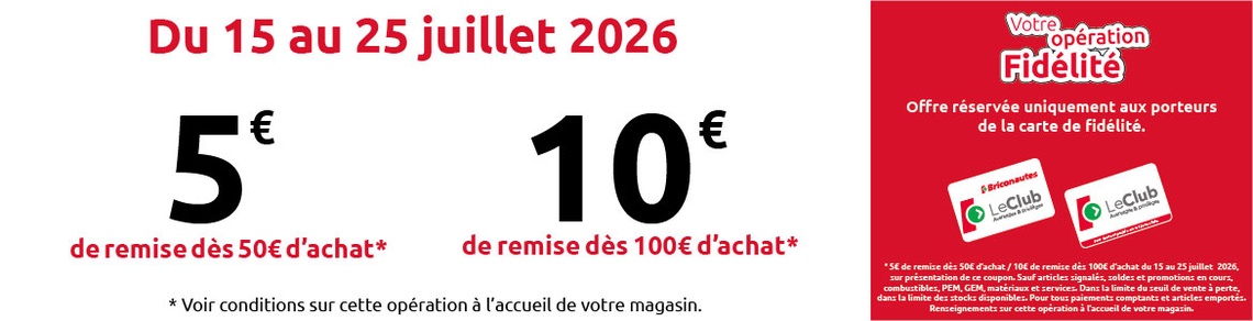 Les Briconautes - 2026 FID BRICO CHEQUES LACANAU
