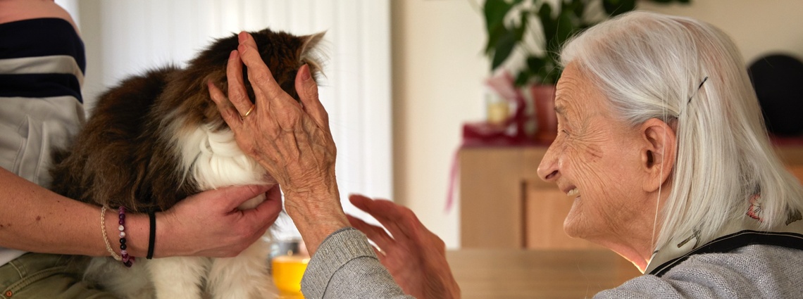 Ages et Vie - PINON Réunion le mercredi 4 octobre de 17h30 à 18h30