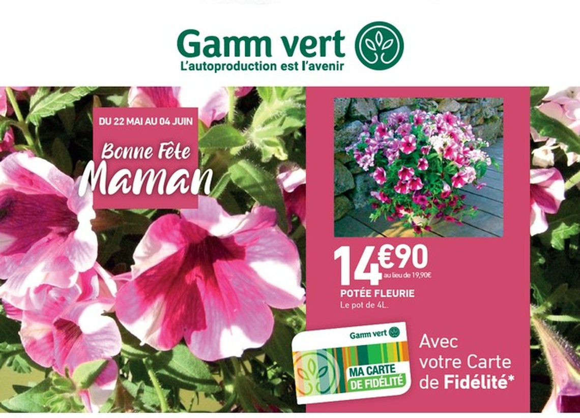 GAMM VERT de AMBERT - Potée fleurie à Prix spécial fidélité