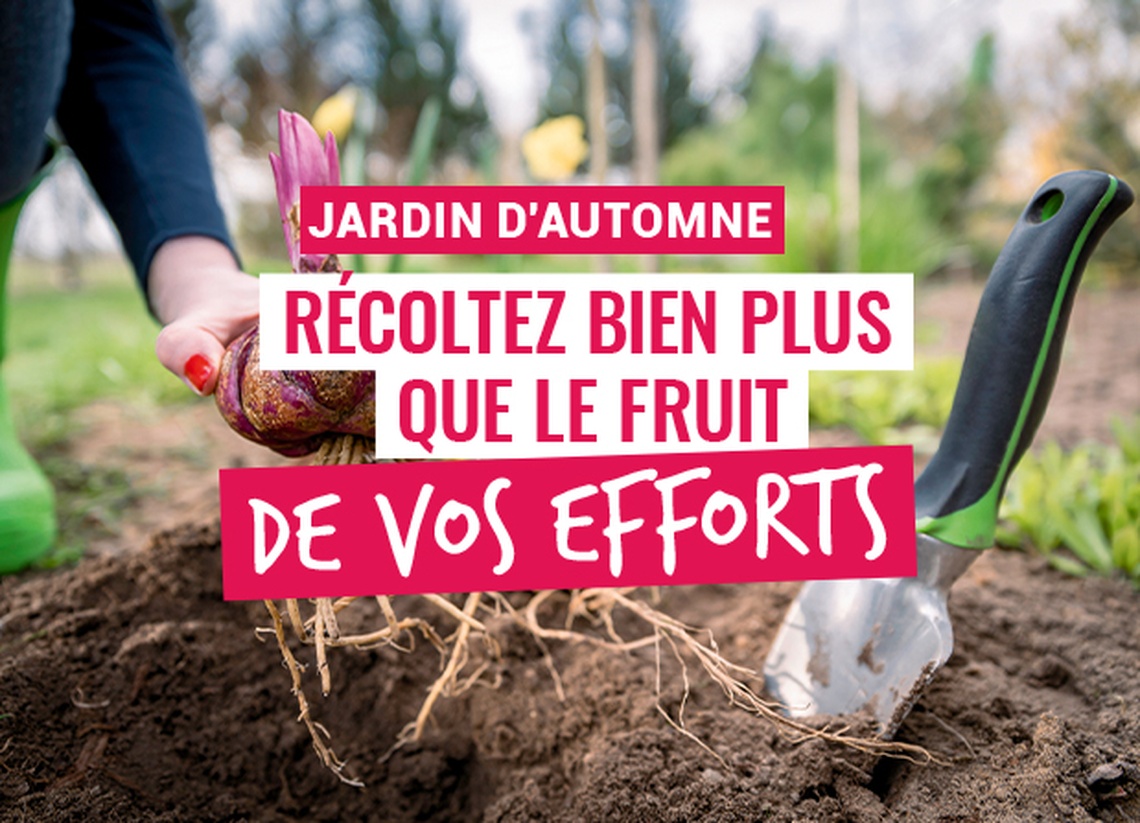 GAMM VERT de PERNES EN ARTOIS - Jardin d'automne