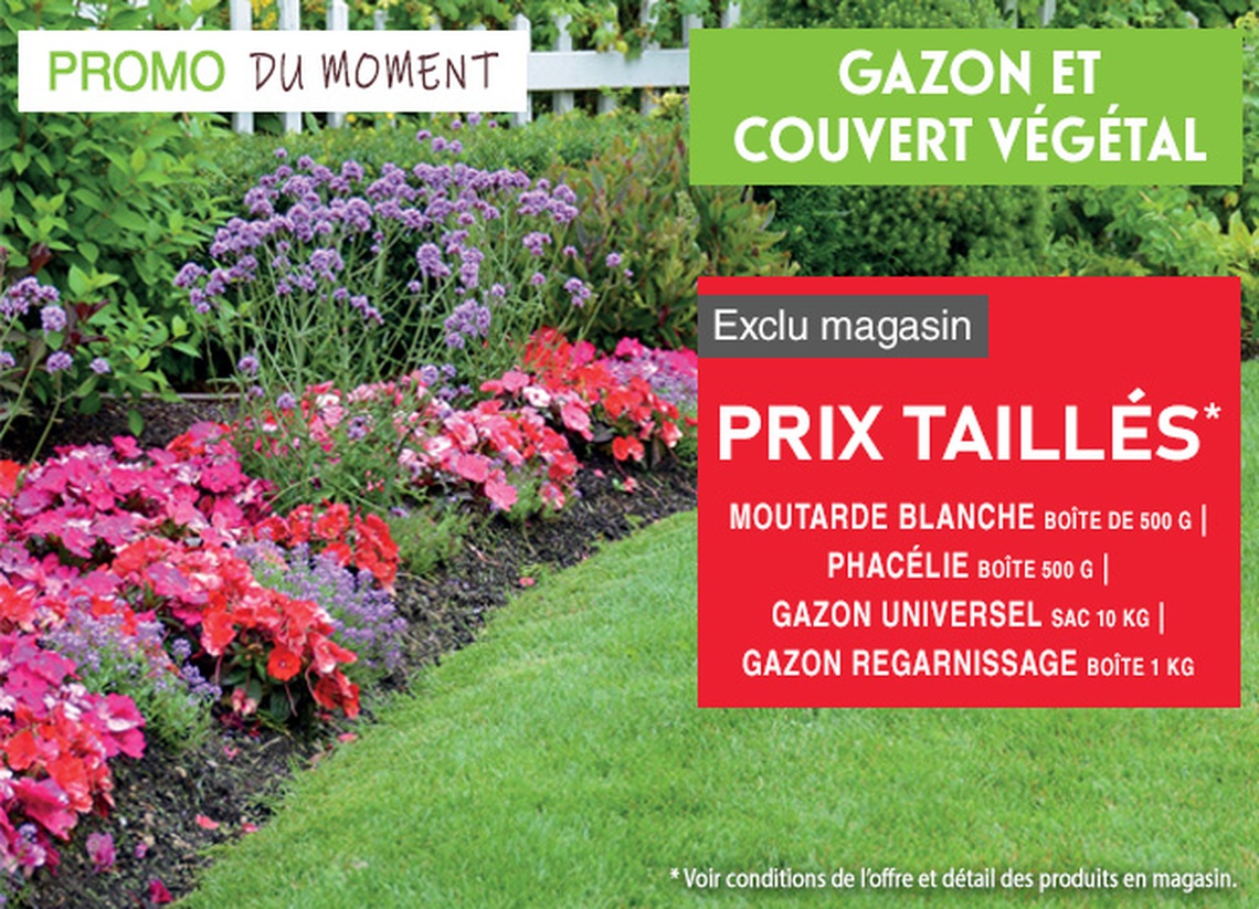 GAMM VERT de MAYENNE - 🛒 Promo du moment
