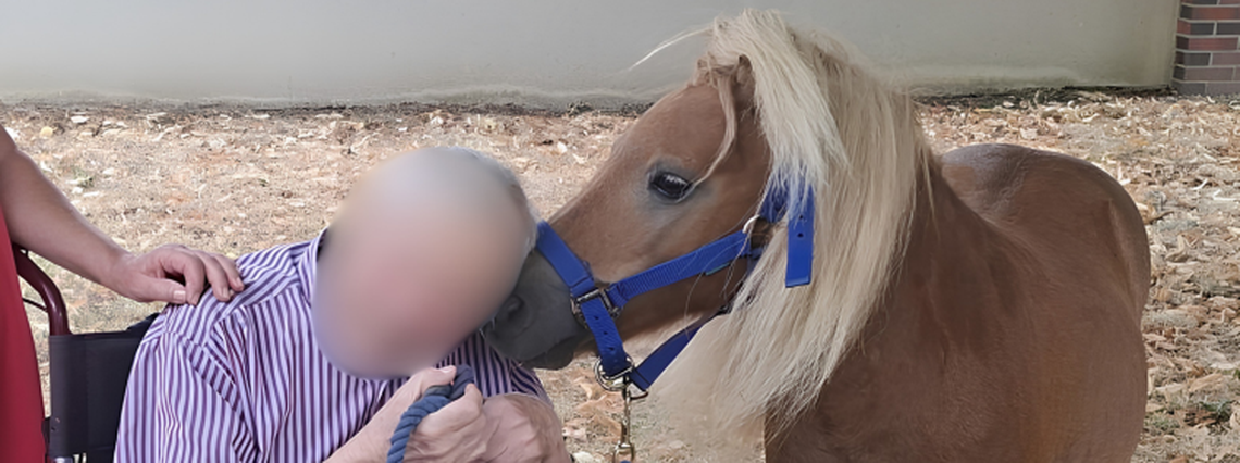 Pavonis Santé - Copernic à Vermiglio 🐎