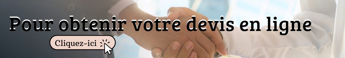 XAVIER SYLVESTRE GAN ASSURANCES LA ROCHE SUR FORON - Devis