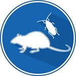 Destruction rats, souris, insectes