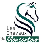 OPTINERIS SAINT-YRIEIX-LA-PERCHE - CHEVAUX DE MONTCONTOUR