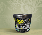Peinture Bio-Sourcée
