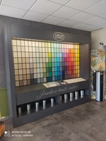 THEODORE MAISON DE PEINTURE ROANNE