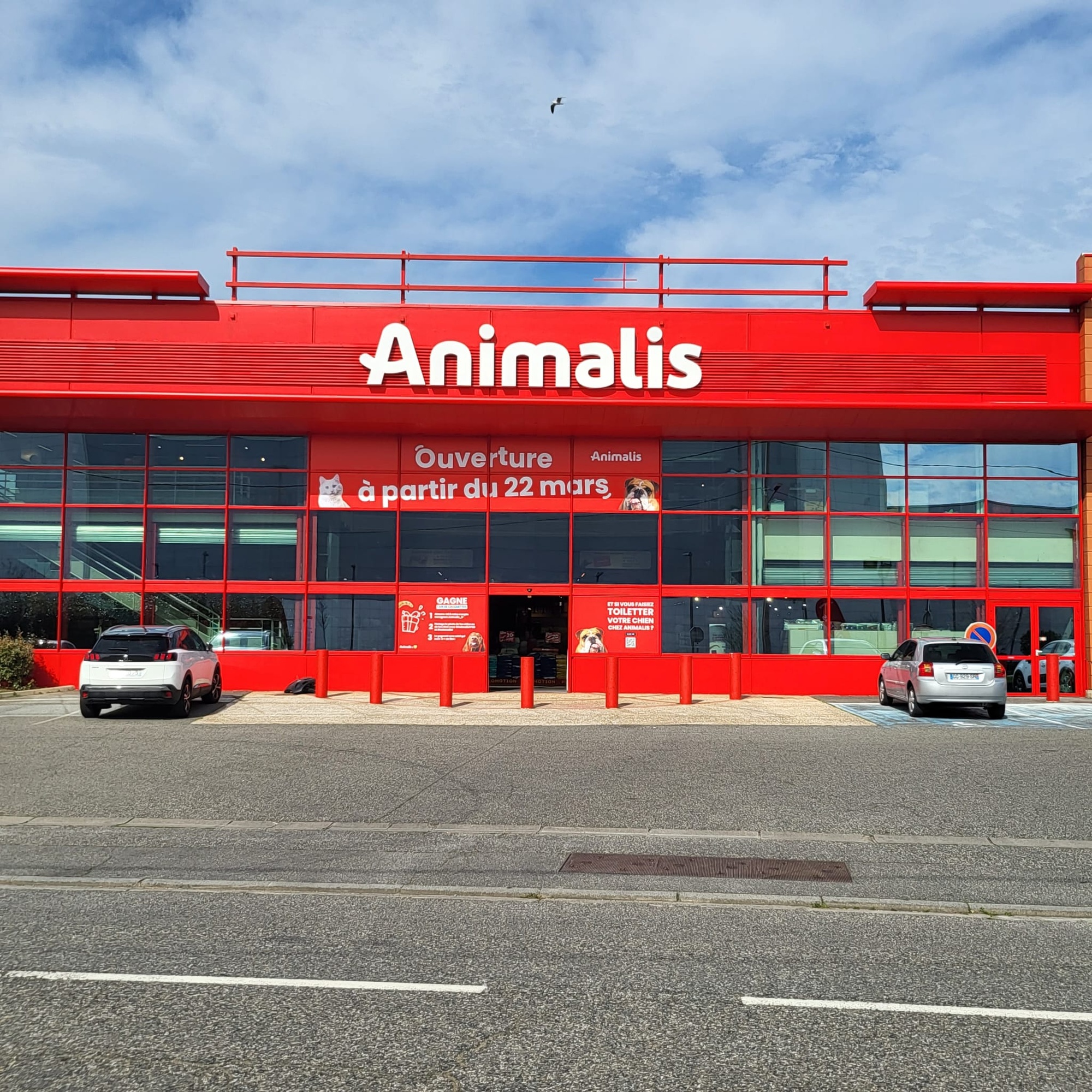 Animalis Toulouse Portet : tout pour vos animaux