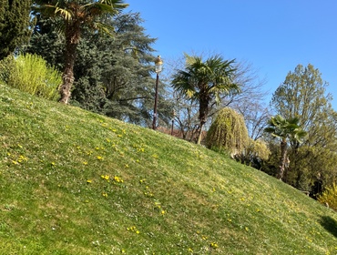 Section MGEN de Moselle - Venez visiter les jardins du centre - ville de METZ