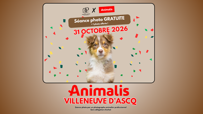 Animalis Villeneuve-d'Ascq - Séance photo #1
