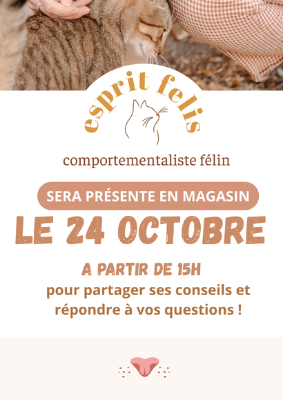 Animalis Villebon - Comportementaliste feline #1