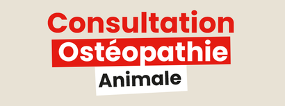 Animalis Creil - Saint-Maximin - ostéopathie animalier #1