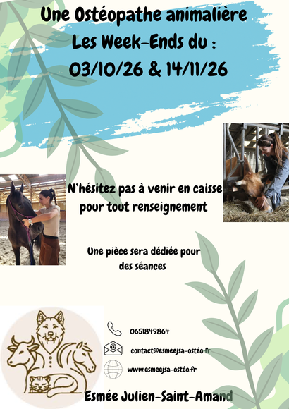 Animalis Villebon - Osteopathe animalière #3