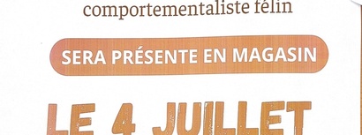 Animalis Villebon - Comportementaliste féline #1