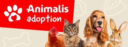 Animalis Creil - Saint-Maximin - week-end adoption/ réservation féline #1
