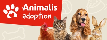 Animalis Villeneuve-d'Ascq - Salon adoption  #1