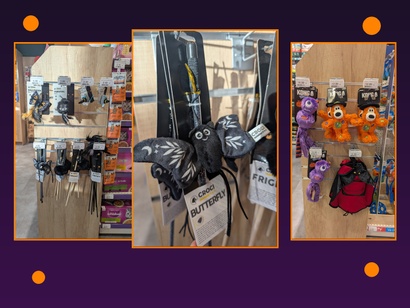 Animalis Mondeville - 🎃 Halloween s'invite chez Animalis Mondeville ! 🐶🐱 #1