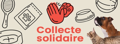 Animalis Paris 12 - Bercy Village - Collecte Pattounes Gang 08-09 Aout #1