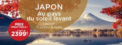 Havas Voyages Roanne Alsace Lorraine - Circuits au Japon #1