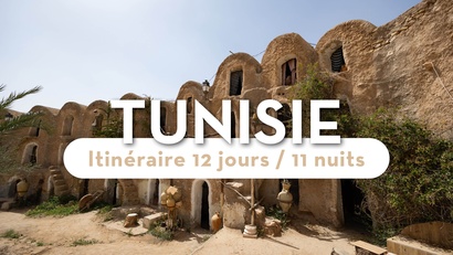 Richou Voyages Cholet -  ✈️ La Tunisie comme si vous y étiez avec Hervé #1