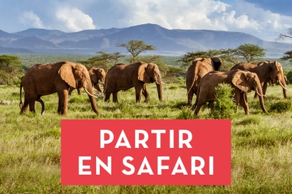 Richou Voyages Thouars - 🚙 Découvrez nos safaris tout compris #1