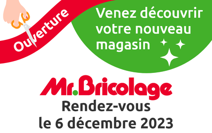 Mr.Bricolage - Un nouveau voisin s’installe