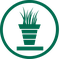 Plantes d'intérieur