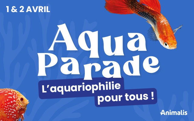 Animalis Villebon - Aquaparade