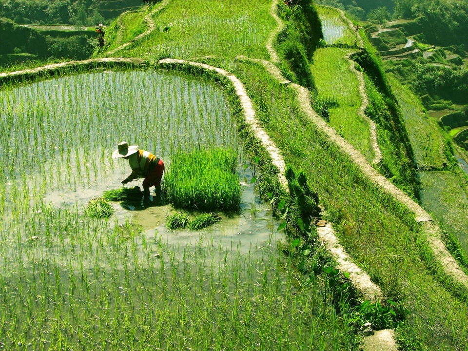 DECLIC EVASION - L'EXPERIENCE DU VOYAGE
