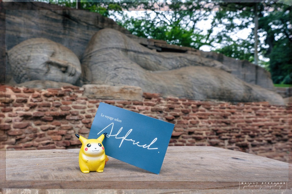 LE VOYAGE SELON ALFRED LILLE