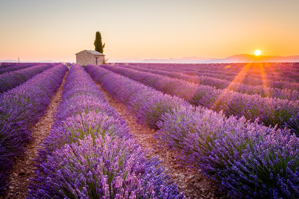 ENVIE D'EVASION - MONTELIMAR