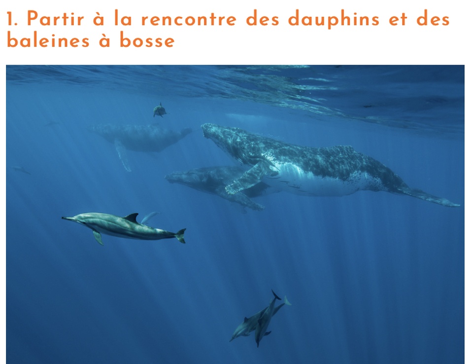 DU REVE O VOYAGES - VOTRE AGENCE À SAINT-MAUR-DES-FOSSÉS