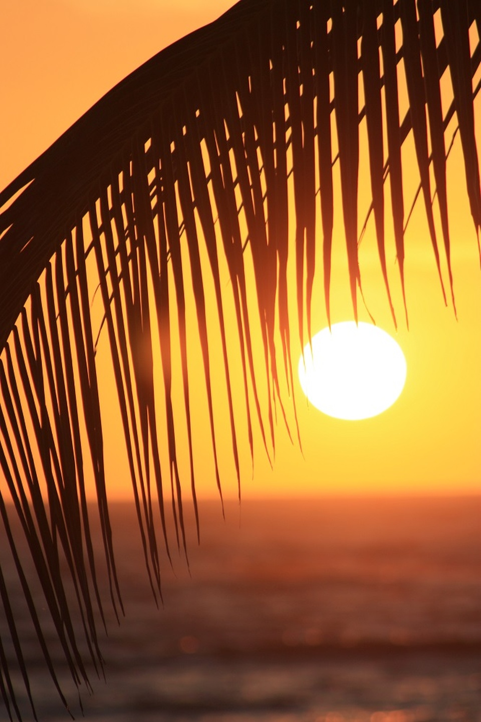 LES VACANCES D'ANITA CHERBOURG