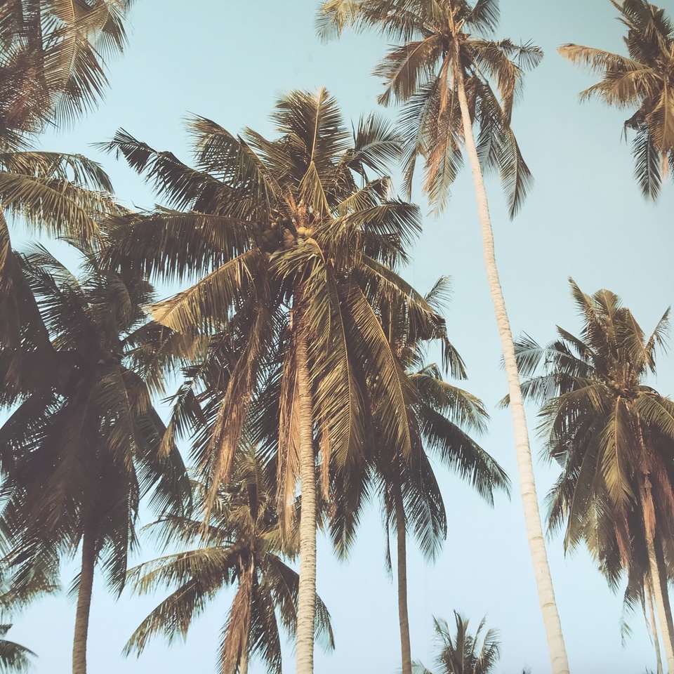 AMPA VOYAGES